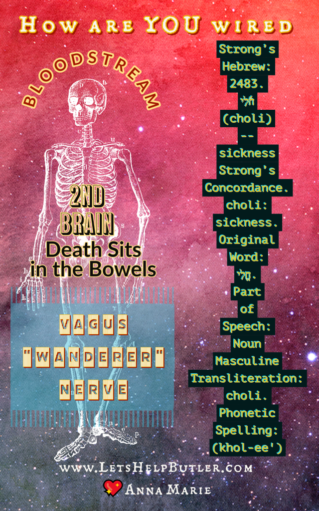 How is your bloodstream wired? 💖Anna Marie